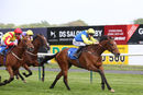 Race 7 - Orin Swift (6)
