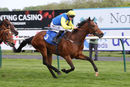 Race 7 - Orin Swift (7)