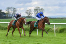 Race 7 - Ottonian (5)