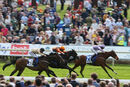 Race 7 - Our Little Pony (4)