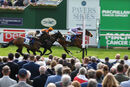Race 7 - Our Little Pony (6)