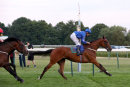 Race 7 - Paddy The Chef (10)