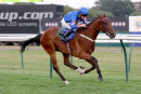 Race 7 - Paddy The Chef (8)