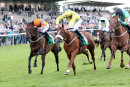 Race 7 - Pavers Pride (8)