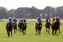 Race 7 - Penny Dreadful (3)