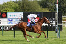 Race 7 - Platform Nineteen (10)