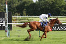 Race 7 - Platform Nineteen (12)