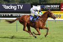 Race 7 - Platform Nineteen (7)