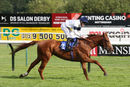 Race 7 - Platform Nineteen (8)