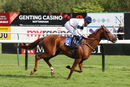 Race 7 - Platform Nineteen (9)