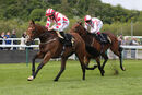Race 7 - Prince Of Bel Lir (12)