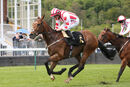 Race 7 - Prince Of Bel Lir (14)