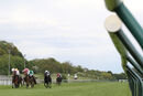 Race 7 - Prince Of Bel Lir (2)
