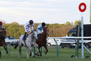 Race 7 - Professional Widow (10)