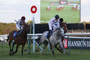 Race 7 - Professional Widow (12)