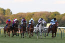 Race 7 - Professional Widow (5)