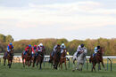 Race 7 - Professional Widow (6)