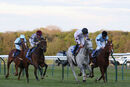 Race 7 - Professional Widow (9)