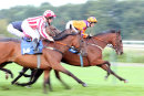 Race 7 - Quay Point (9)
