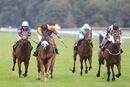 Race 7 - Raasel (10)