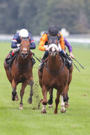 Race 7 - Raasel (11)
