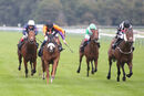 Race 7 - Raasel (13)