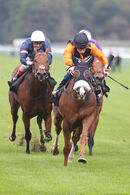 Race 7 - Raasel (14)