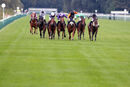 Race 7 - Raasel (2)