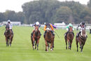 Race 7 - Raasel (8)