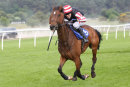 Race 7 - Red Square Revival (9)