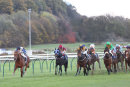 Race 7 - Seamster (2)