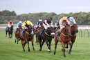 Race 7 - Secret Agent (4)