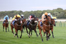 Race 7 - Secret Agent (5)