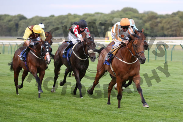 Race 7 - Secret Agent (6)