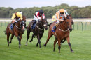 Race 7 - Secret Agent (6)