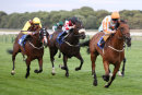 Race 7 - Secret Agent (7)