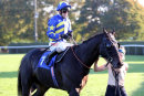 Race 7 - Shabbah (13)