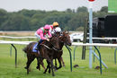 Race 7 - Shifting Gold (10)