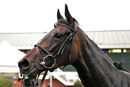 Race 7 - Shifting Gold (17)