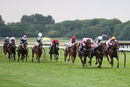 Race 7 - Shifting Gold (5)