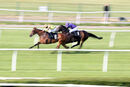 Race 7 - Space Voyage (4)