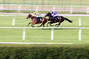 Race 7 - Space Voyage (5)