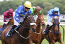 Race 7 - Space War (9)