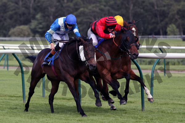 Race 7 - St Dunstan (7)