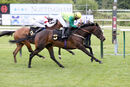 Race 7 - Steel An Icon (12)