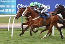 Race 7 - Stormin Norman (10)