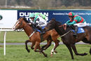 Race 7 - Stormin Norman (11)