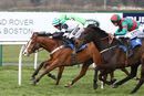 Race 7 - Stormin Norman (12)