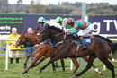 Race 7 - Stormin Norman (14)