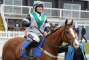 Race 7 - Stormin Norman (2)